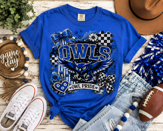 Anderson Owl Pride